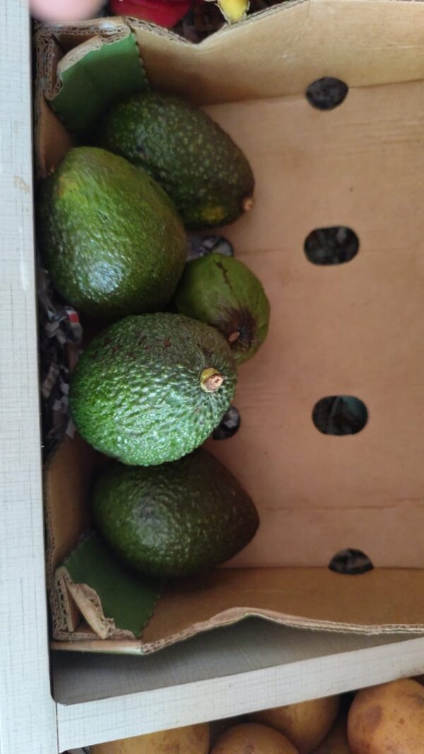 Avacado (1piece)