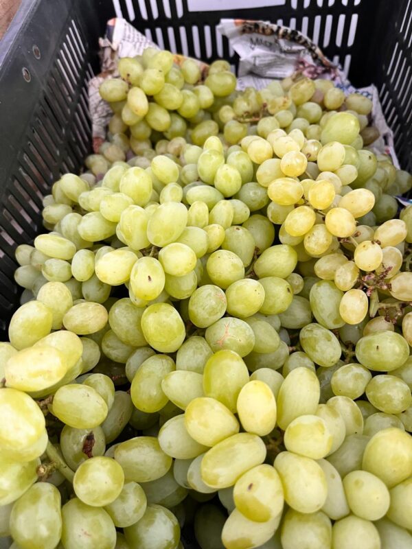 Jumbo Grapes (1kg)