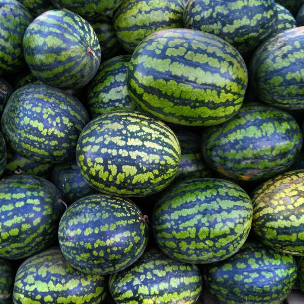 Watermelon (1kg)